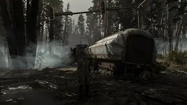 Visceral ENB - on