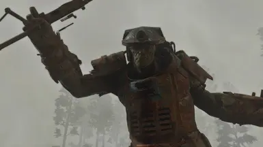Visceral ENB - on