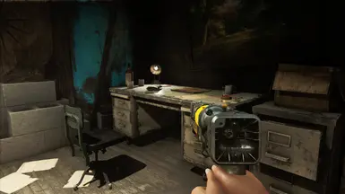 Visceral ENB - on