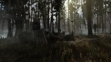 Visceral ENB - off