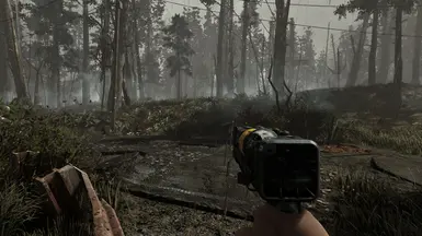 Visceral ENB - on