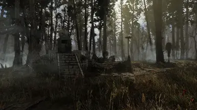 Visceral ENB - on