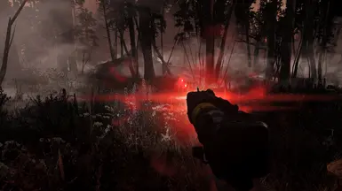 Visceral ENB - on