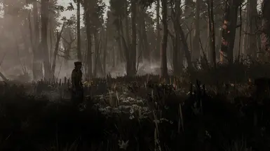 Visceral ENB - off