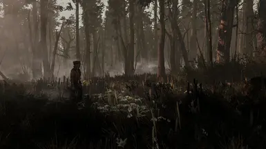 Visceral ENB - on