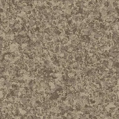 4-colour Wasteland