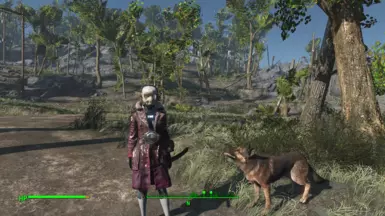 ScreenShot1
