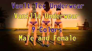 Vault-Tec Underwear - Vanilla Underwear - 9 Colors - Male and Female -  Record Flags ESL at Fallout 4 Nexus - Mods and community