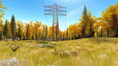 Custom LOD for Fallout Coniferous Revival and Dead Forest Overhaul (light version)