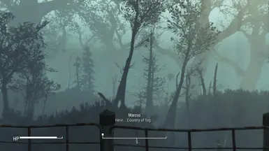 Country Of fog