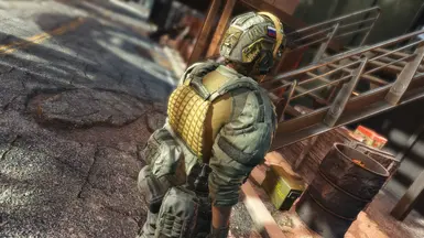 v1.0