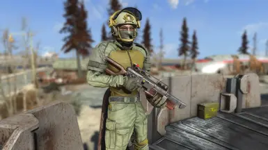 v1.0