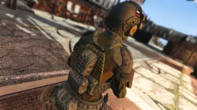 v1.0