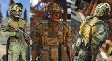 v1.0