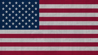 US Flag with Default Background