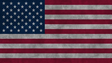 US Flag with Seen Some Stuff Background