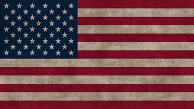US Flag with Seen Some Stuff Background Sepia Version