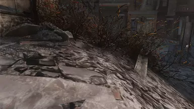 Corrected Bush