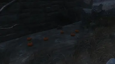 Pumpkins at Museum 2