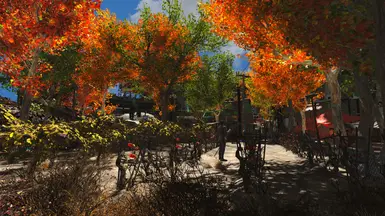 Diamond City Trees