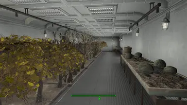 Hydroponics