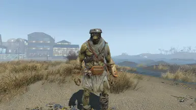 Super Mutant Cloth Armour