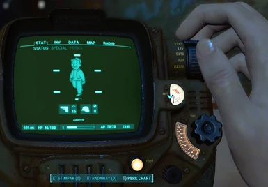 Male Pipboy