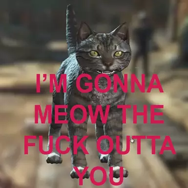 MEOW