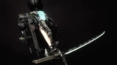 Screenshots by Calminte, courtesy Ardent's Blade mod page