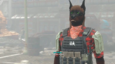 Not the fanciest screenshot but I wanted to show off my Doberman Sniper Build Boi