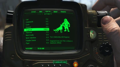 Dogmeat In-Game