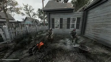 Free Stalkers Chilling
