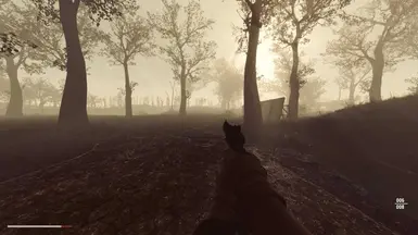 Atmosphere
