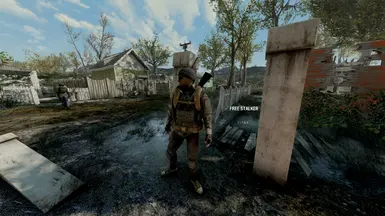 Free Stalker