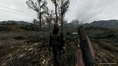 NPCs WIP