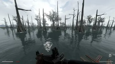 Great Swamps WIP