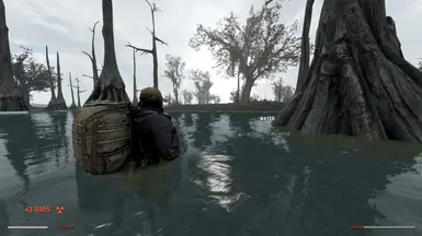 Great Swamps WIP