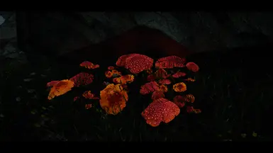 Fungal piles revamped with more glow