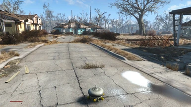 Scrap, loot and most workshop built objects have been cleared from the settlement!