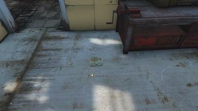 The S.P.E.C.I.A.L. book is stored in the workshop; take it out, drop it on the floor and read it.