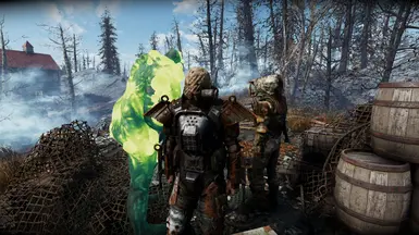 Shrouded in Far Harbor