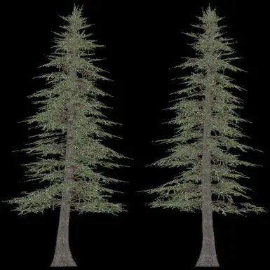 Hemlock