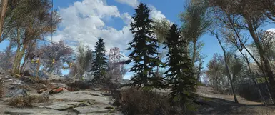 Green Pines