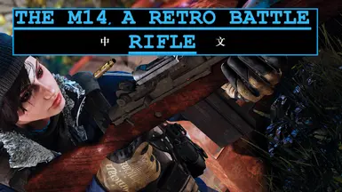 THE M14 - A RETRO BATTLE RIFLE CHINESE TRANSLATION