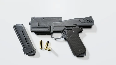 N99C - Custom 10mm Pistol