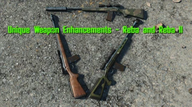 Unique Weapon Enhancements - Reba and Reba II