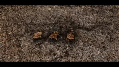 New Ground Models