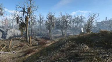 Vanilla