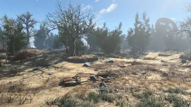 Spring summer edition + Trees Redux