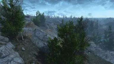 Spring summer edition + Trees Redux